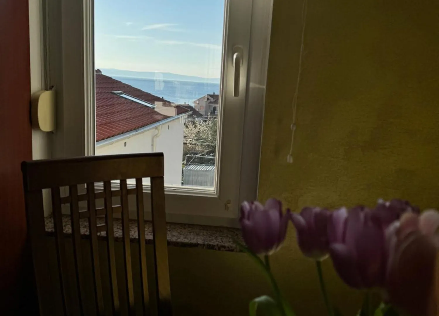 Apartment Iva Supetarska Draga 0*,